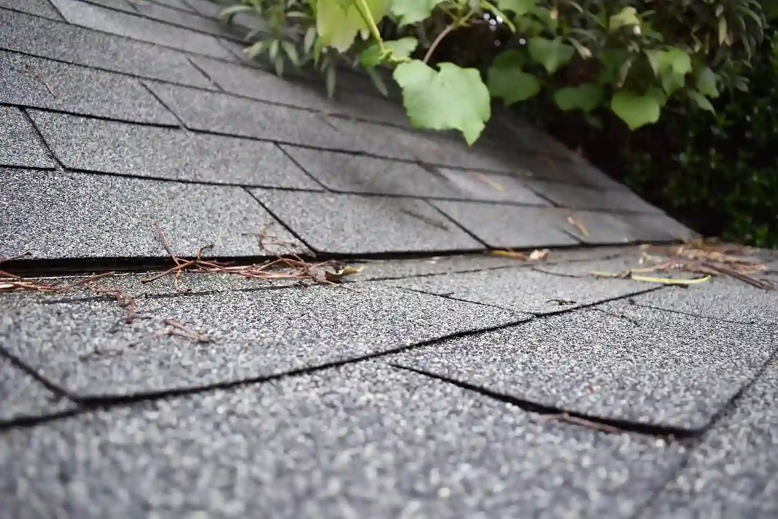 Asphalt Shingles Image