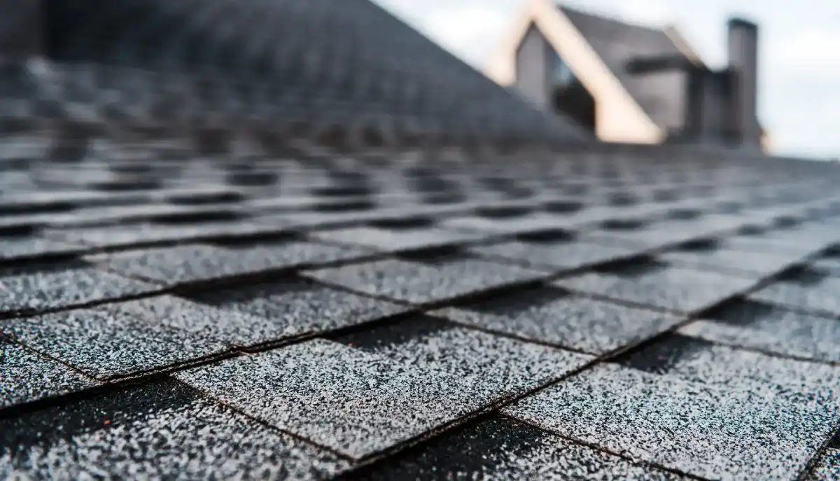 Asphalt Shingles Image